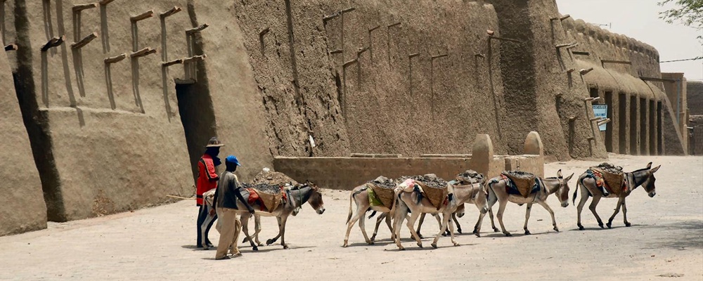 Timbuktu preferred method of transport, Mali, W. Africa